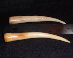 Mastodon Ivroy For Sale