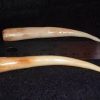 Mastodon Ivroy For Sale - Image 4