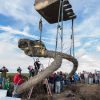 Woolly mammoth Ivroy For Sale - Image 3