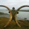 Woolly mammoth Ivroy For Sale - Image 5