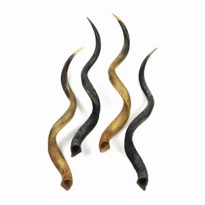Kudu Horns For Sale