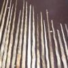 Narwhal Ivroy For Sale - Image 2
