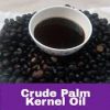 Natural Quality Palm Kennel Oil For Sale - Image 2
