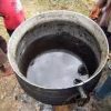 Natural Quality Palm Kennel Oil For Sale - Image 3