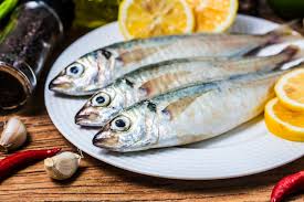 Quality Round Scad Fish For Sale