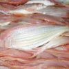 Nemipterus virgatus for sale - Image 4