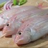 Nemipterus virgatus for sale - Image 5