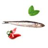 Quality Fresh Anchovies For Sale - Image 3