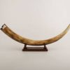 Mammoth Ivory For Sale - Image 3