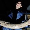 Mammoth Ivory For Sale - Image 5