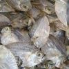 Best Quality Slim Mouth Fish For Sale - Image 3