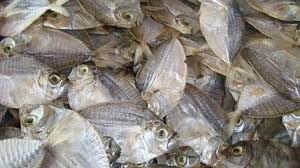 Best Quality Slim Mouth Fish For Sale - Image 2