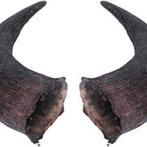 Buffalo Horns