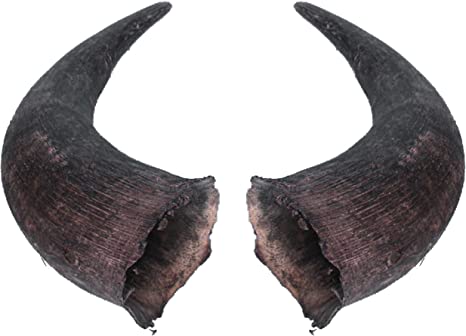 Buffalo Horns