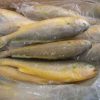 High quality Frozen Yellow Croaker Fish for sale Buy product