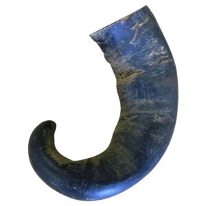 Buffalo Horns For Sale