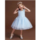 Net yarn summer dress princess dress girls performance dress flower girl tutu dress - Image 5
