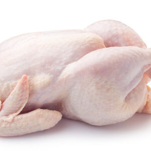 Silkie Chicken