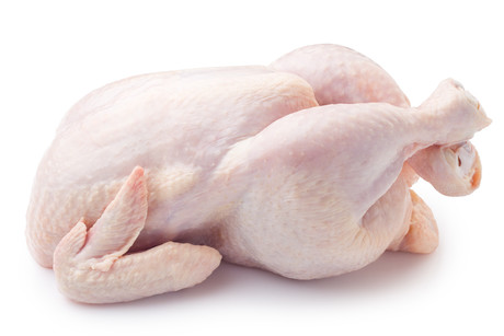 Silkie Chicken