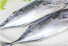 fresh bonito fish for sale - Image 3