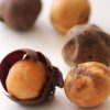 Buy afrostyrax lepidophyllus Online - Image 4