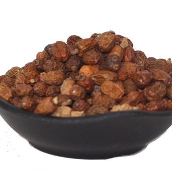 Best Quality pure natural dried Fructus Galangae