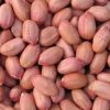 Raw Groundnuts (Peanuts) Wholesale - Image 2