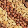 Raw Groundnuts (Peanuts) Wholesale - Image 3