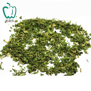 High Quality Melon Seed Wholesale