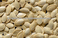 High Quality Melon Seed Wholesale - Image 5