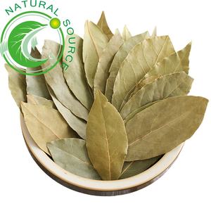 High Quality Bay Leaf