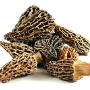 Wild Dried Morel Mushroom