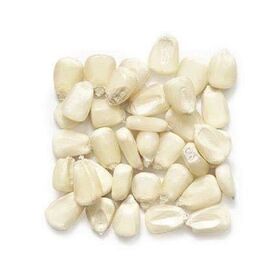 White Corn