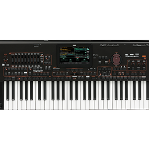 KORG PA4X-76