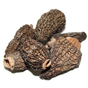 Dried Morel Mushroom