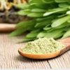 Best quality wheat powder